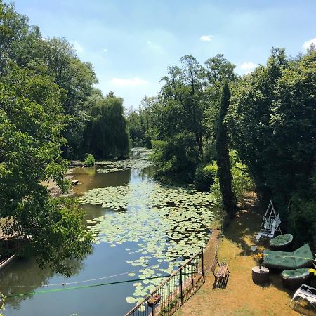 Annay-sur-SereinMagnifique Moulin Proche Chablis, Jacuzzi Et Riviere别墅 外观 照片