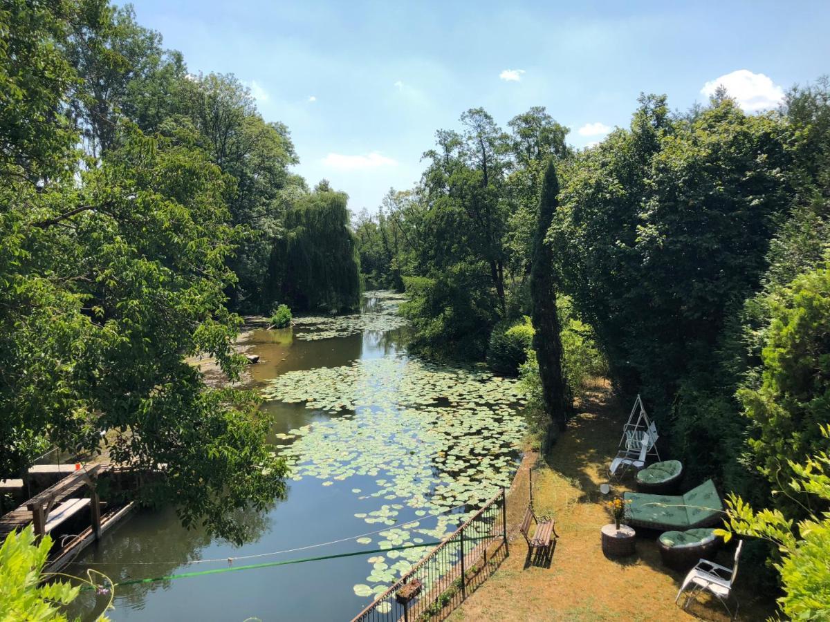Annay-sur-SereinMagnifique Moulin Proche Chablis, Jacuzzi Et Riviere别墅 外观 照片