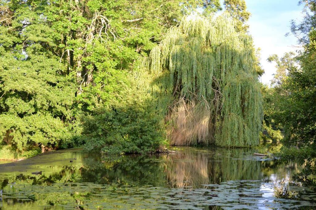 Annay-sur-SereinMagnifique Moulin Proche Chablis, Jacuzzi Et Riviere别墅 外观 照片