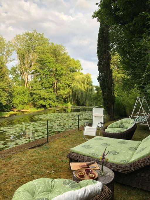 Annay-sur-SereinMagnifique Moulin Proche Chablis, Jacuzzi Et Riviere别墅 外观 照片