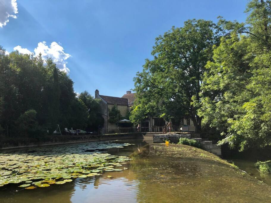 Annay-sur-SereinMagnifique Moulin Proche Chablis, Jacuzzi Et Riviere别墅 外观 照片