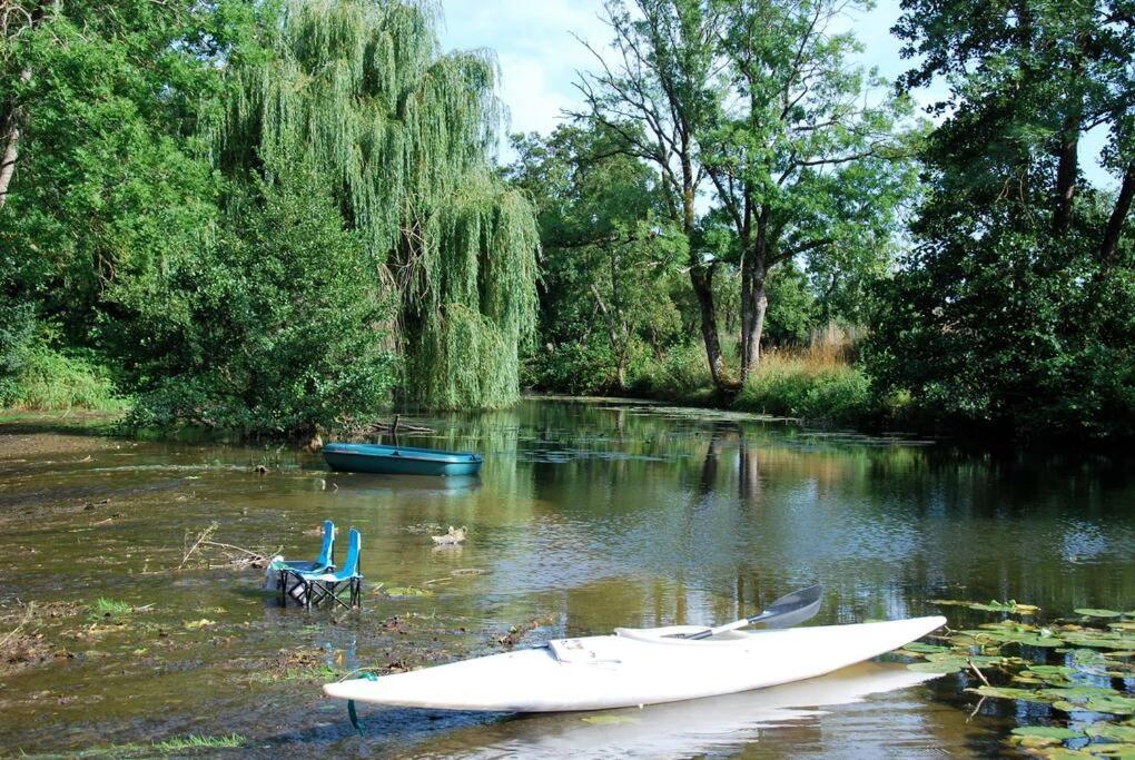 Annay-sur-SereinMagnifique Moulin Proche Chablis, Jacuzzi Et Riviere别墅 外观 照片
