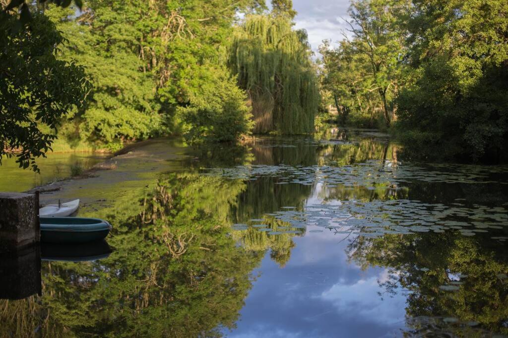 Annay-sur-SereinMagnifique Moulin Proche Chablis, Jacuzzi Et Riviere别墅 外观 照片