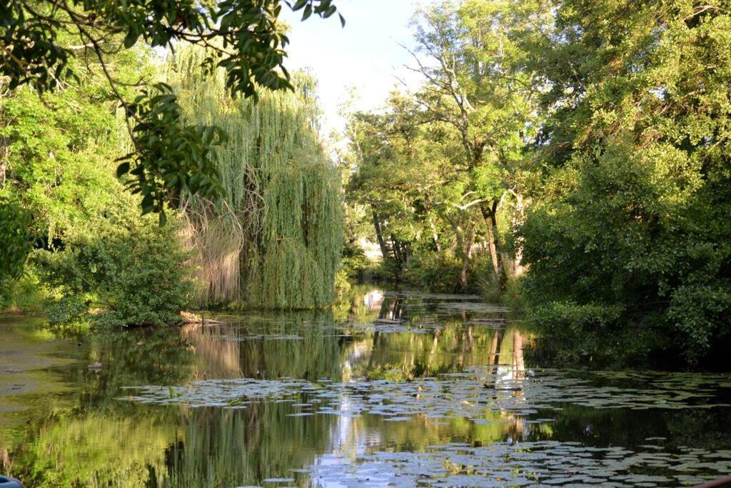 Annay-sur-SereinMagnifique Moulin Proche Chablis, Jacuzzi Et Riviere别墅 外观 照片