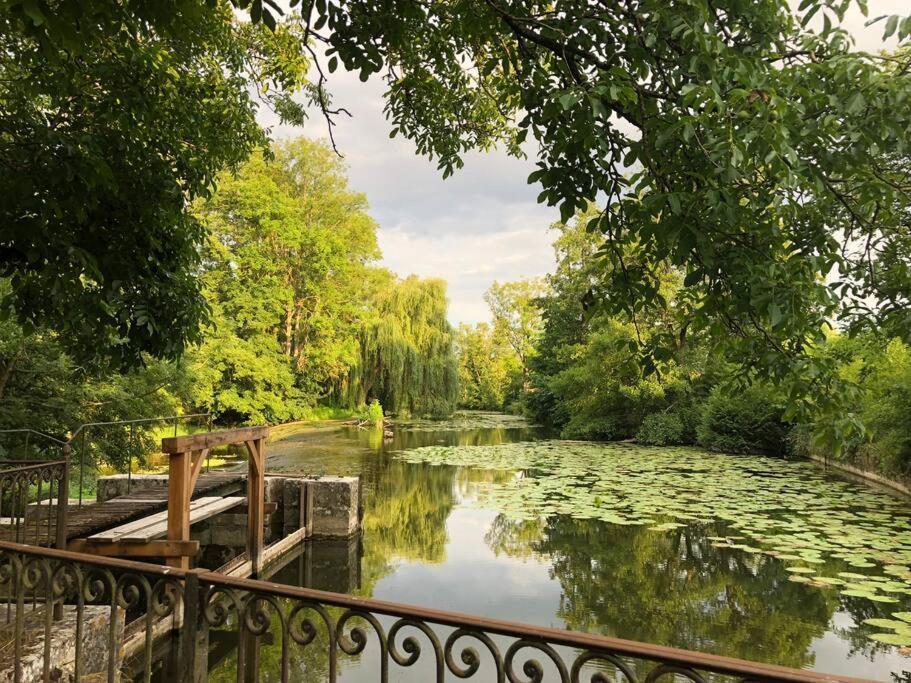 Annay-sur-SereinMagnifique Moulin Proche Chablis, Jacuzzi Et Riviere别墅 外观 照片